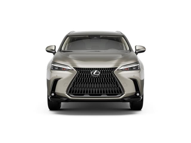 2026 Lexus NX 350 photo 3