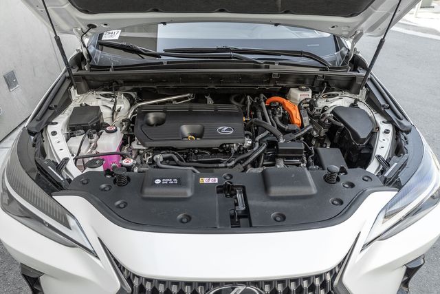 2022 Lexus NX 350h photo 13