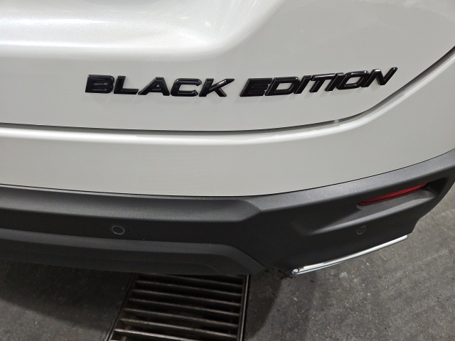 2025 Honda Pilot Black Edition photo 15