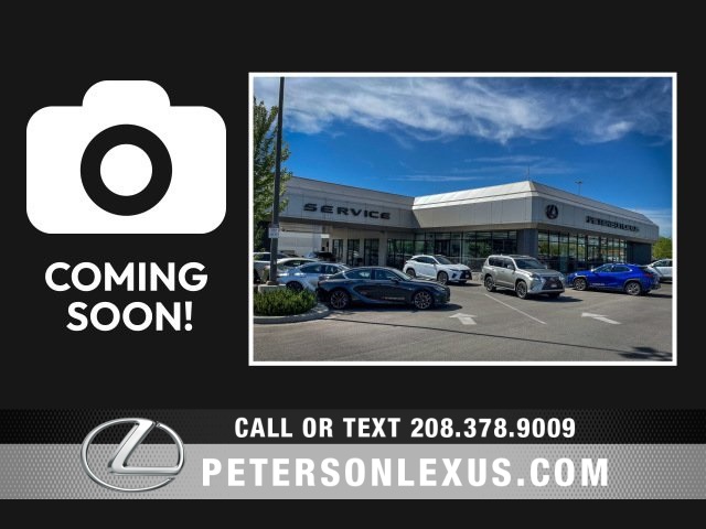 2023 Lexus RX 350's photo