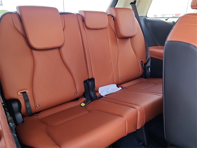 2026 Kia Carnival SX photo 19