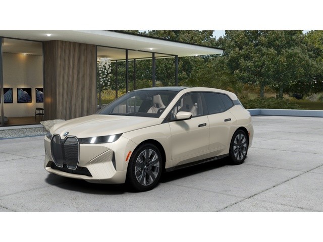 2026 BMW iX
