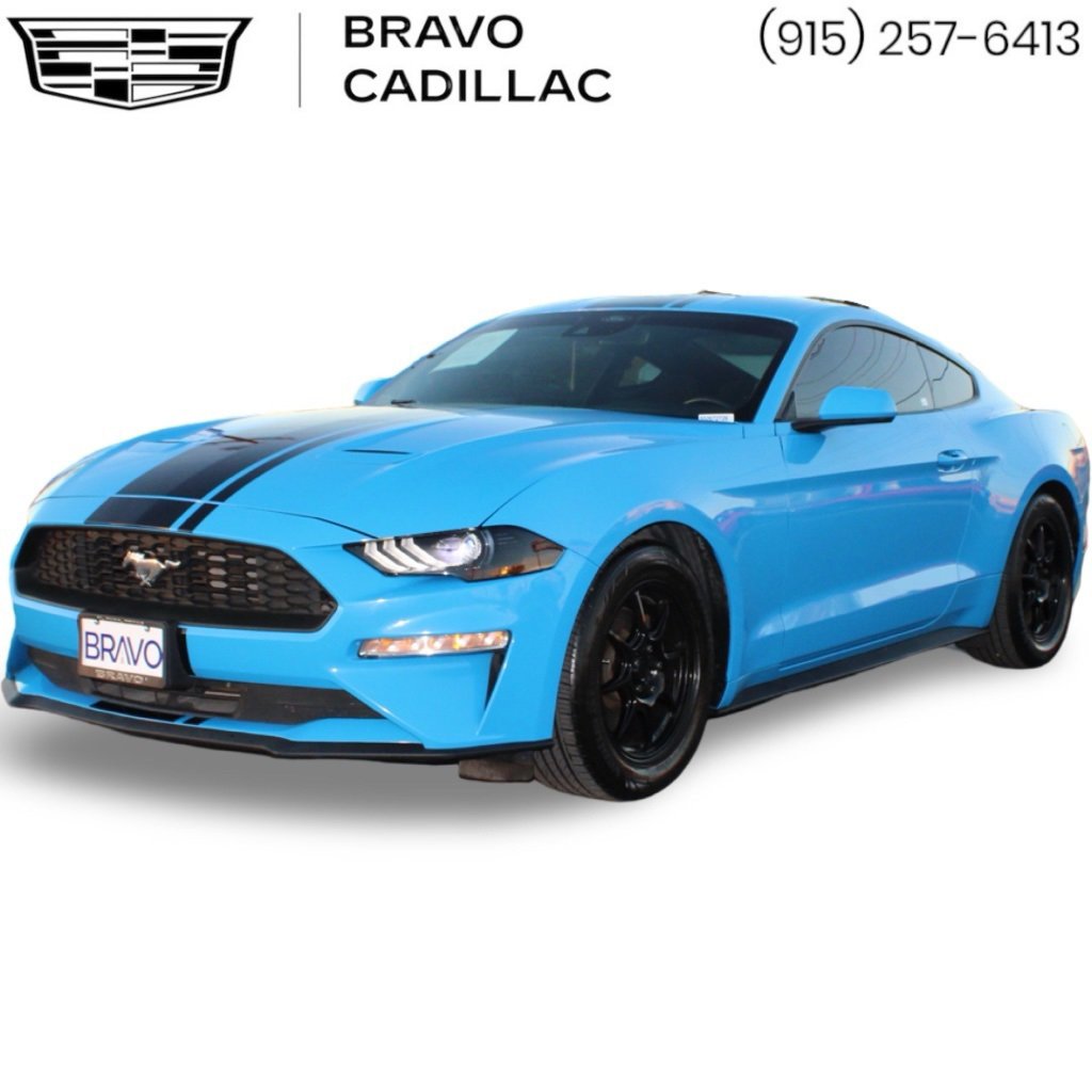 2023 Ford Mustang EcoBoost's photo