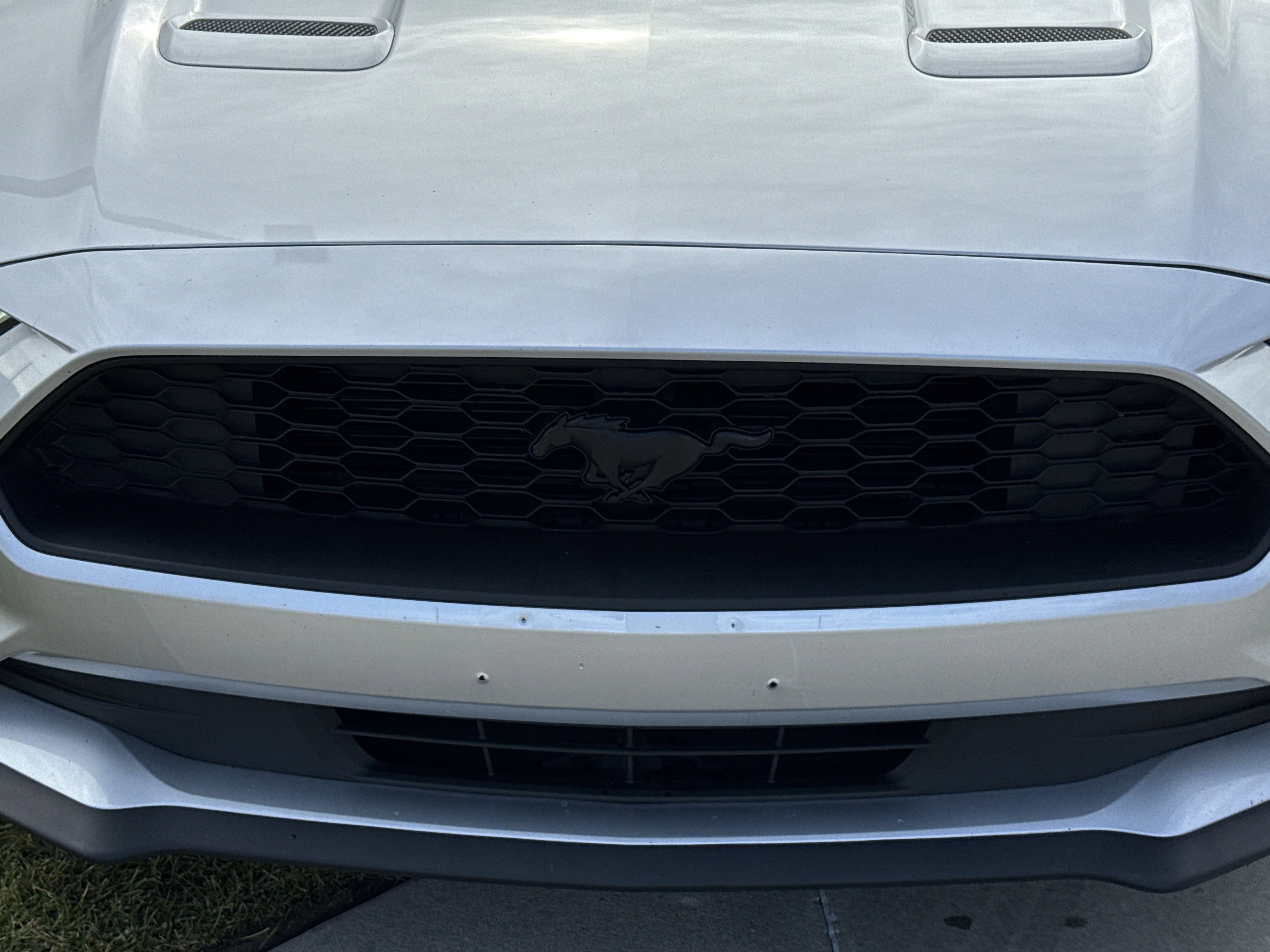 2019 Ford Mustang EcoBoost Premium photo 2