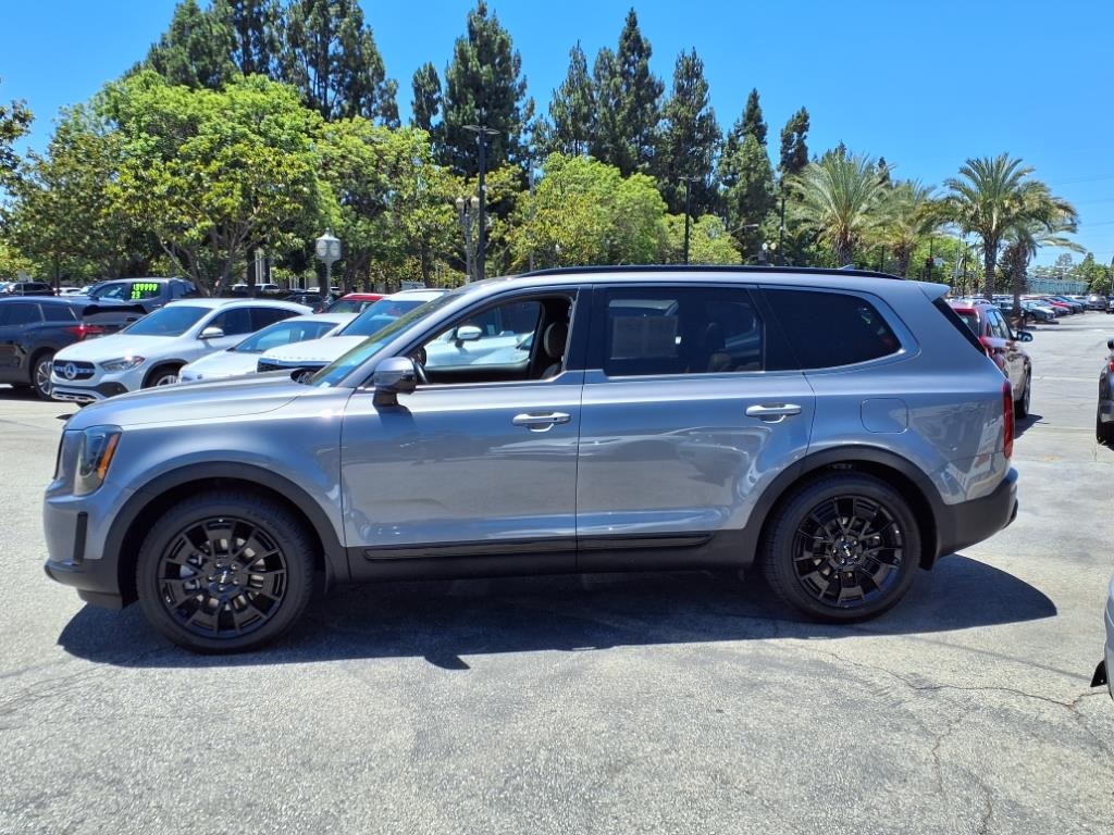 2022 Kia Telluride SX photo 6
