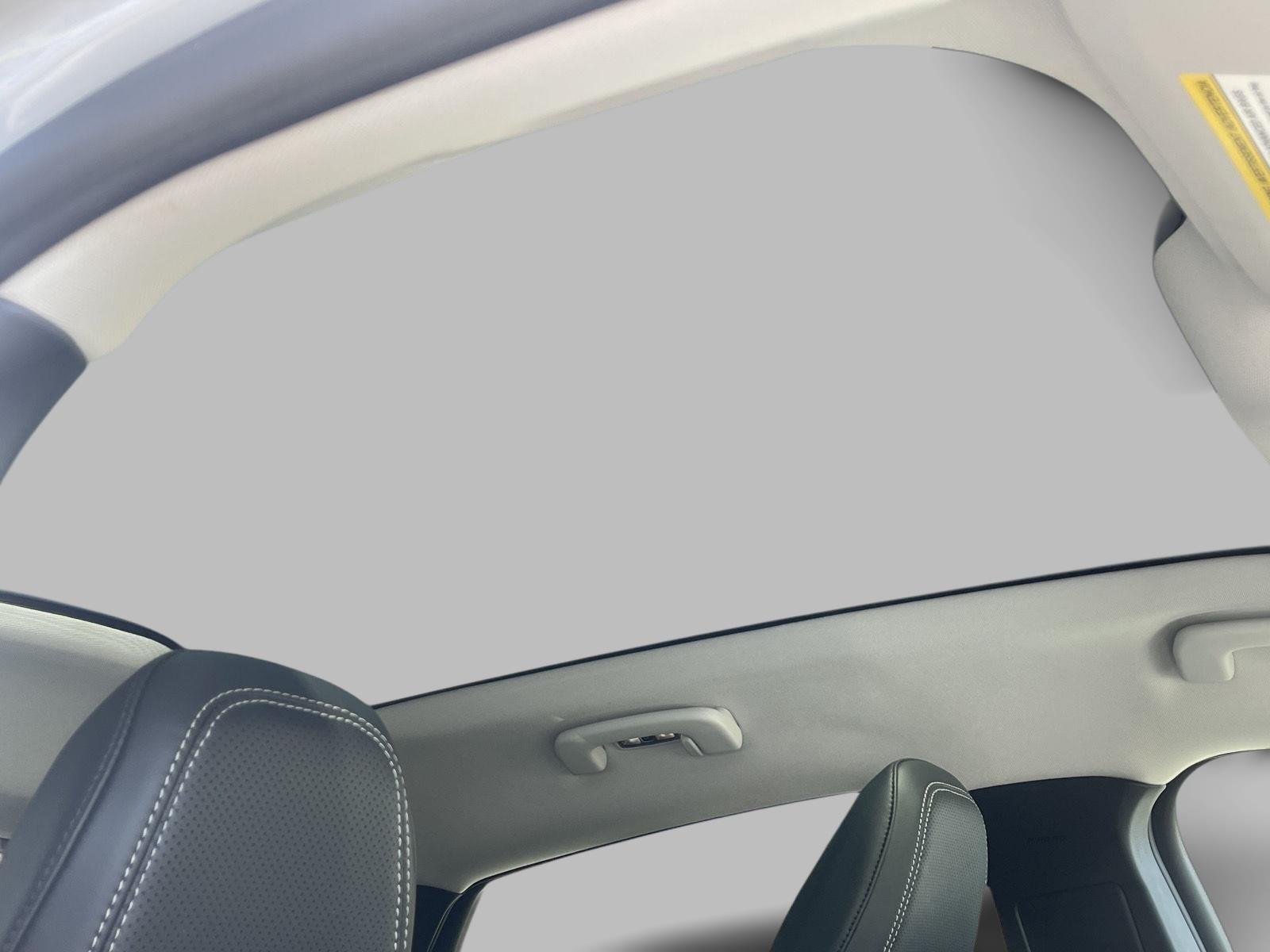 2022 Ford Mustang Mach-E Premium photo 15