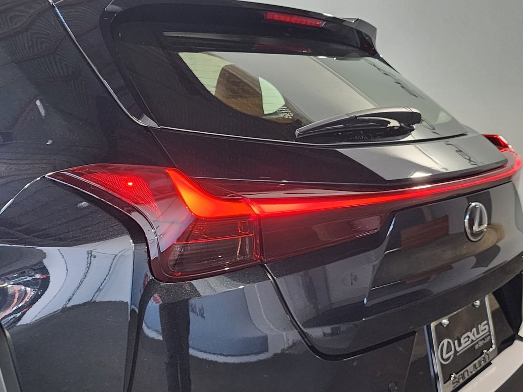 2025 Lexus UX photo 9