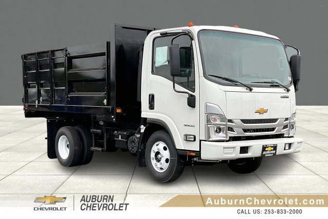 2025 Chevrolet Low Cab Forward 3500 MEDIUM ASH GRAY