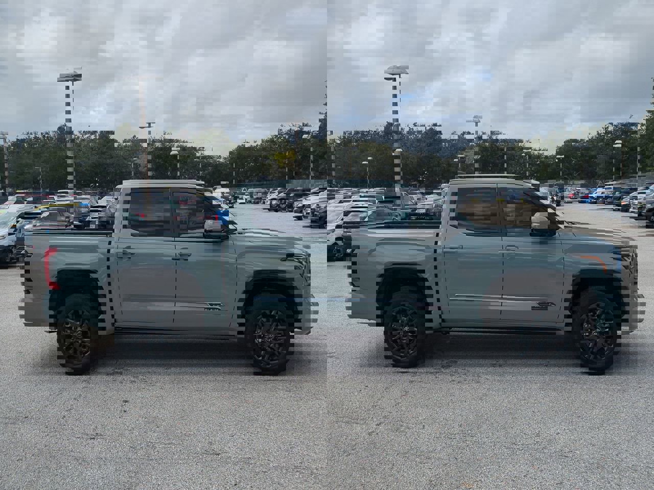 2025 Toyota Tundra Platinum photo 4