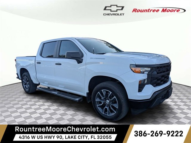 2023 Chevrolet Silverado 1500 Work Truck's photo