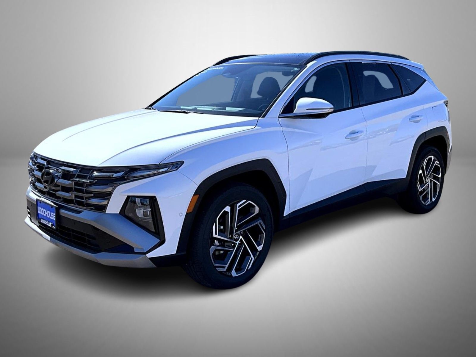 2025 Hyundai Tucson Limited's photo