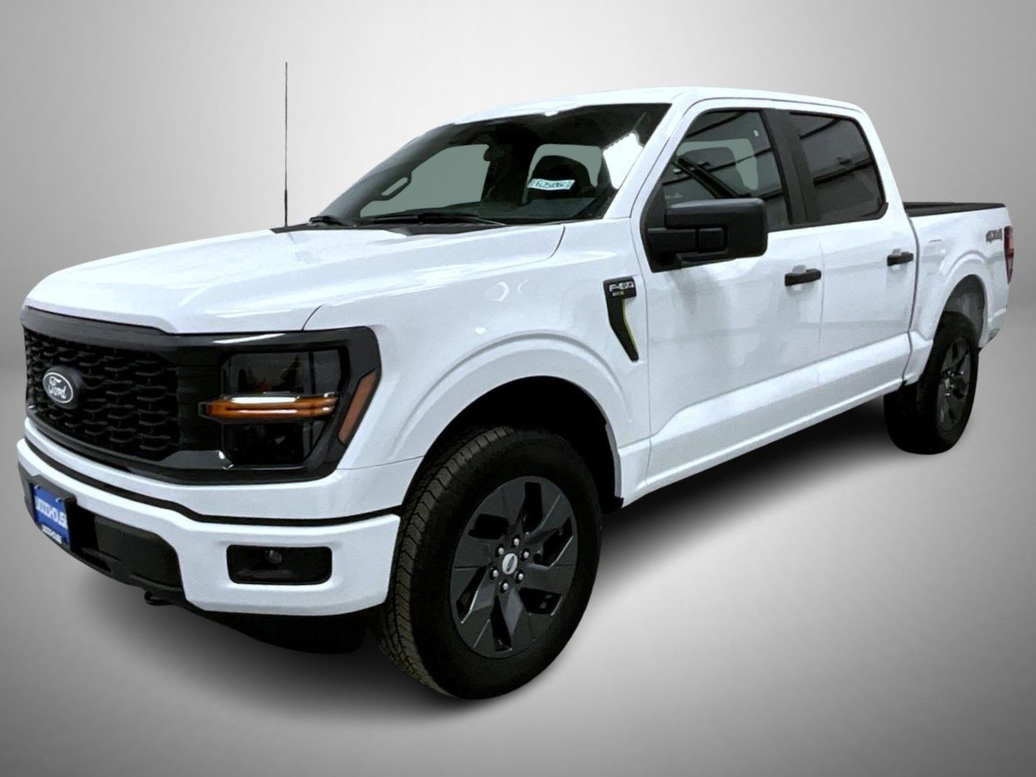 2025 Ford F-150 STX's photo