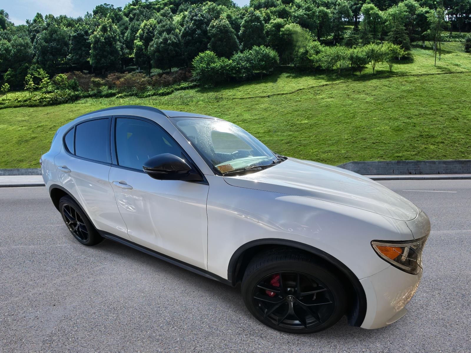 2020 Alfa Romeo Stelvio Base's photo