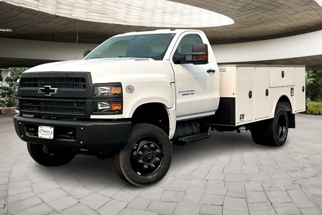 2024 Chevrolet Silverado 4500 Medium Duty Chassis Cab Work Truck's photo