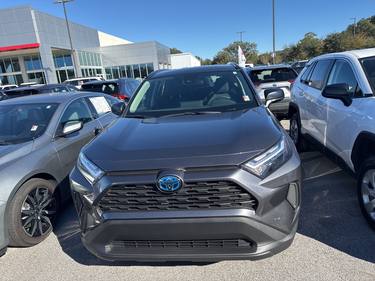 Certified 2024 Toyota RAV4 LE with VIN 4T3LWRFV2RU159033 for sale in Northfield, Minnesota