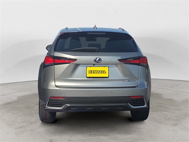 2019 Lexus NX 300h Luxury photo 4