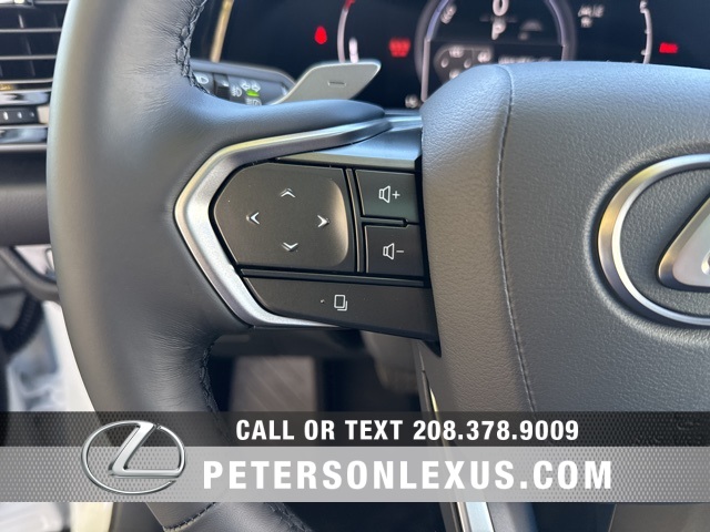 2026 Lexus NX 350h Luxury AWD photo 24