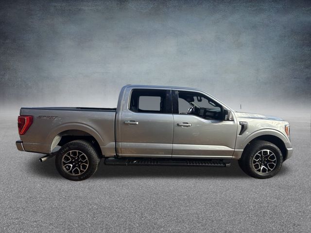 2023 Ford F-150 XLT photo 3