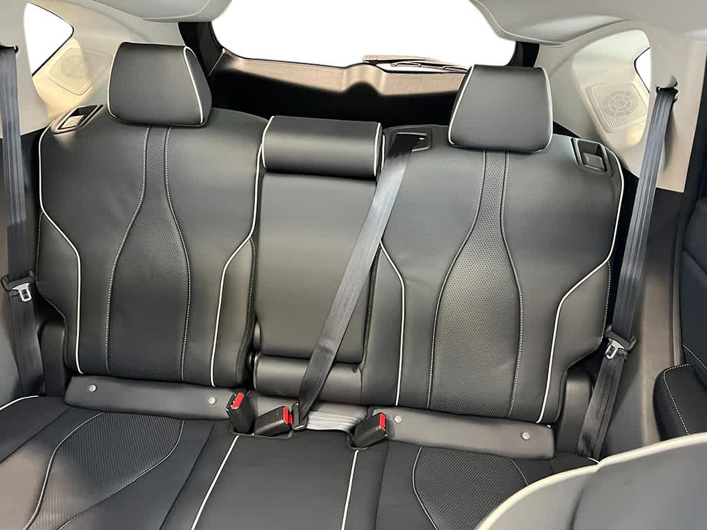 2025 Acura RDX Advance photo 29