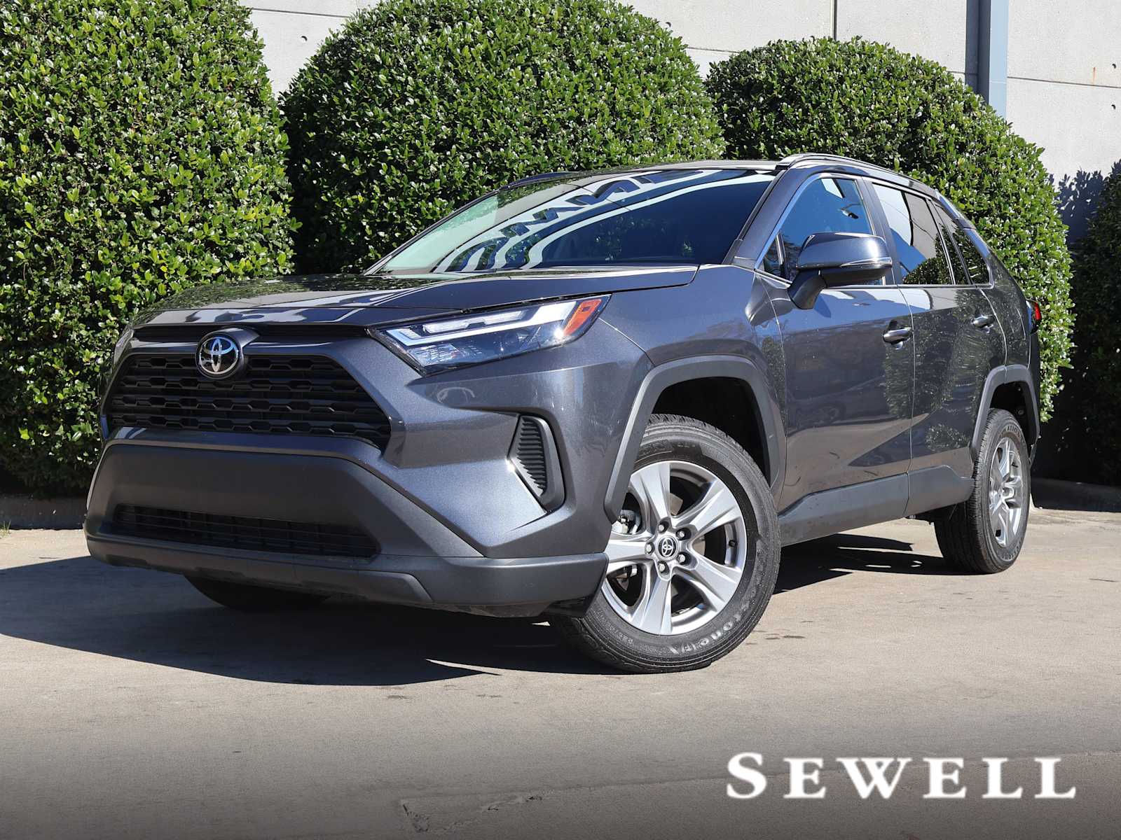 2025 Toyota RAV4 XLE's photo