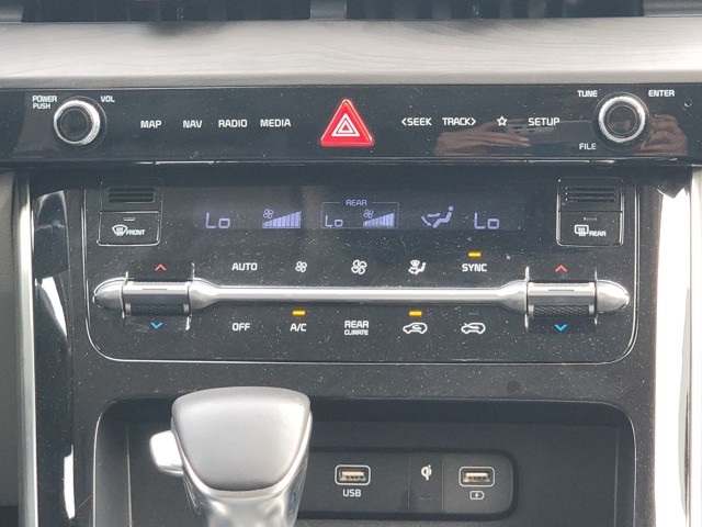 2023 Kia Carnival SX photo 23