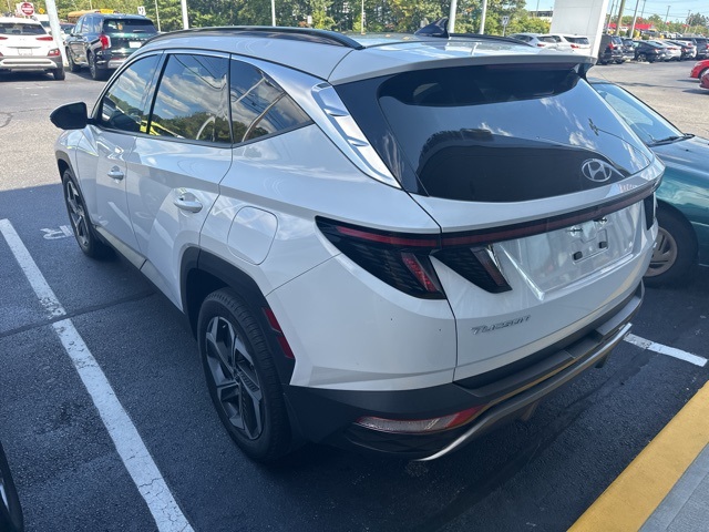 2023 Hyundai Tucson Limited photo 3