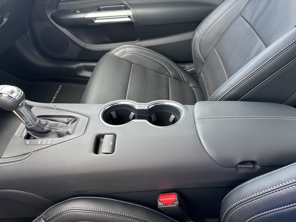 2025 Ford Mustang EcoBoost Premium photo 24