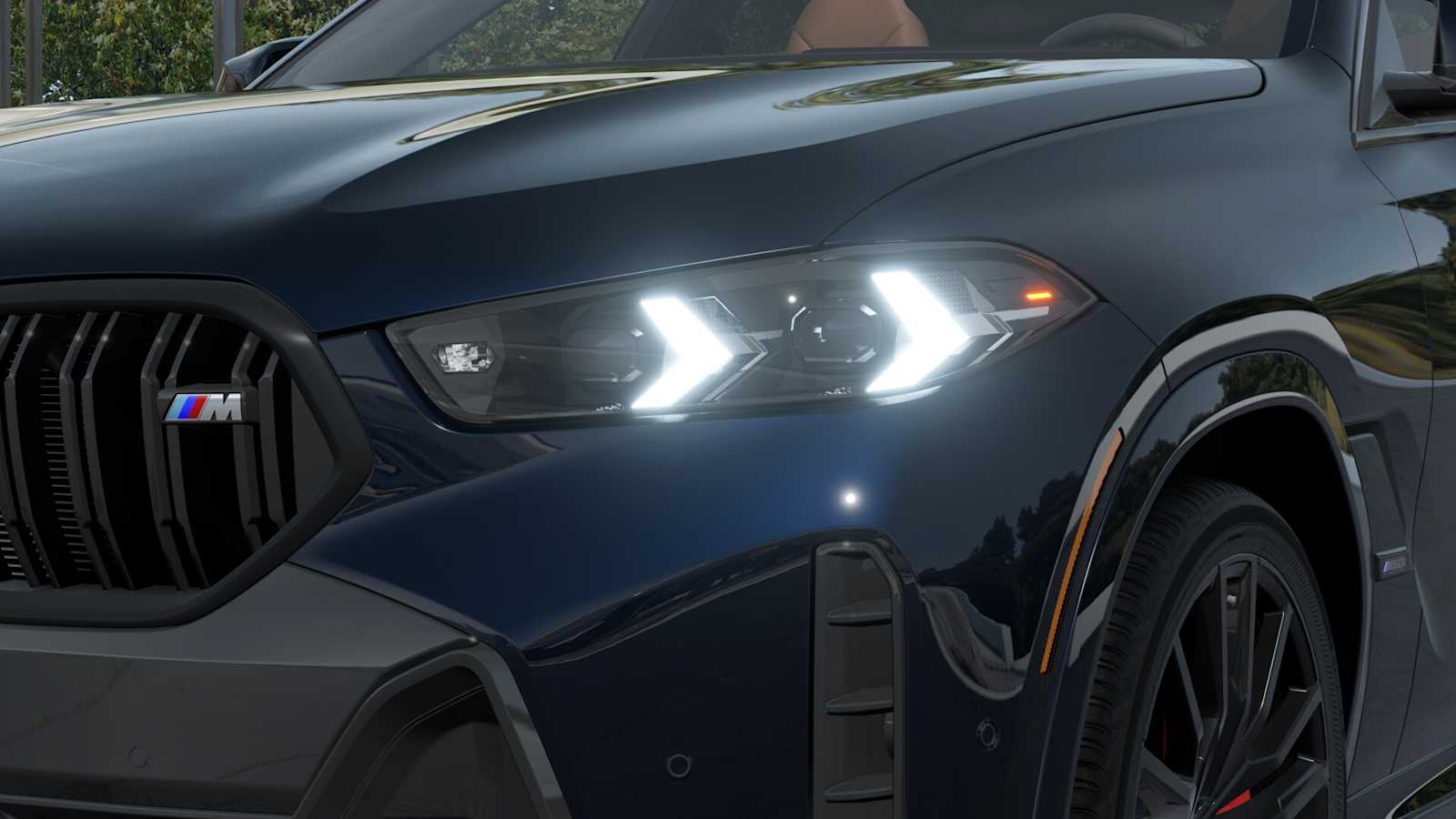 2026 Bmw X6 photo 4