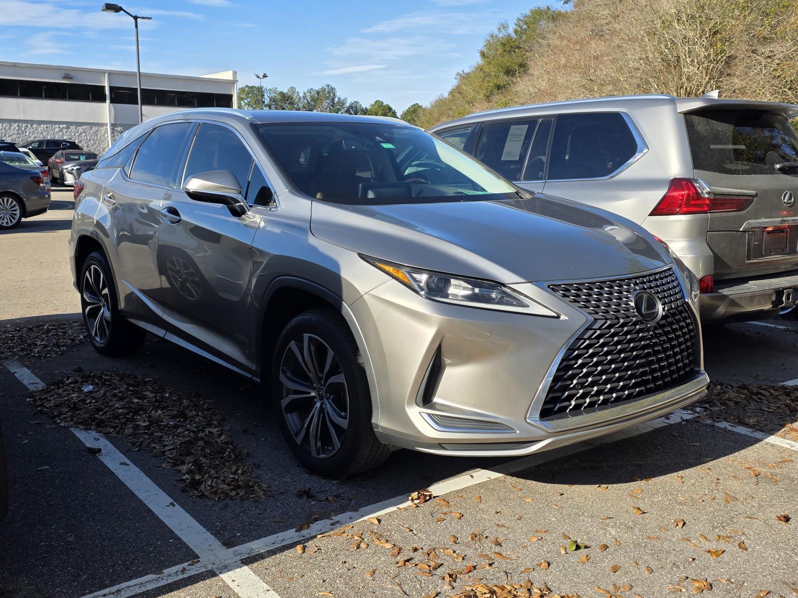 2021 Lexus RX 350's photo