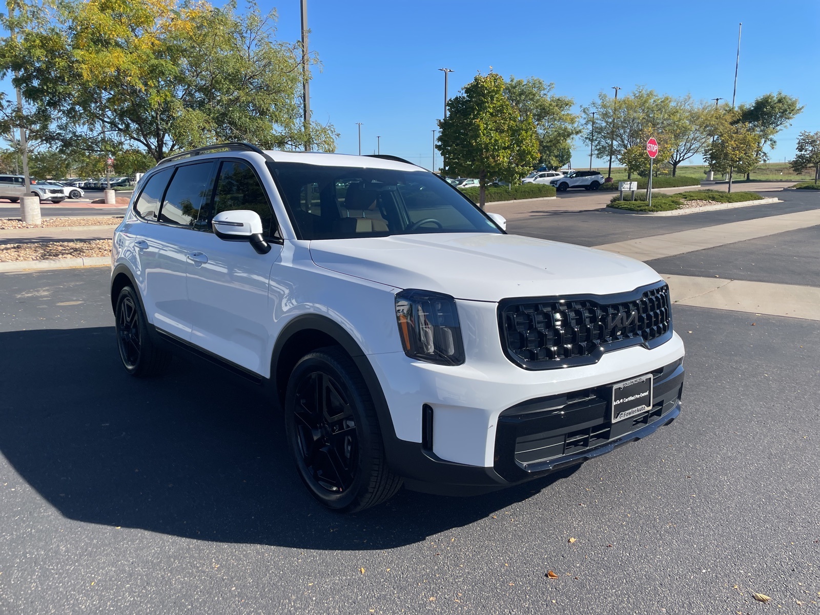 2025 Kia Telluride EX X-Line photo 3