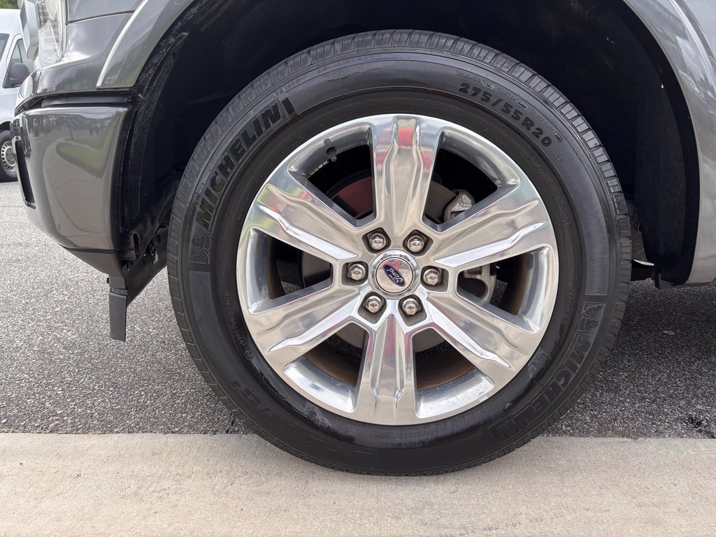 2019 Ford F-150 Platinum photo 4