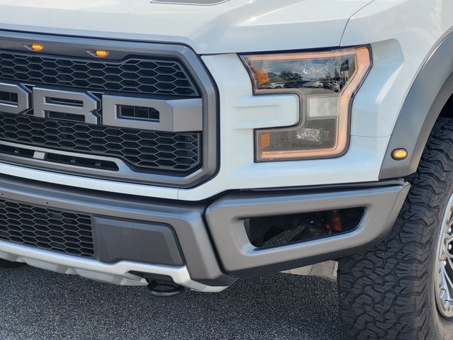 2019 Ford F-150 Raptor photo 7
