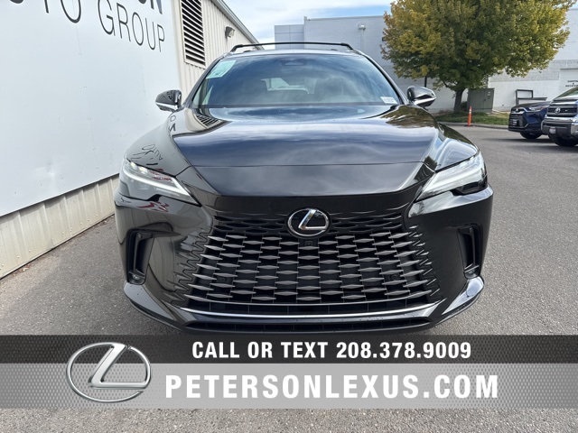 2025 Lexus RX 350 Premium photo 8