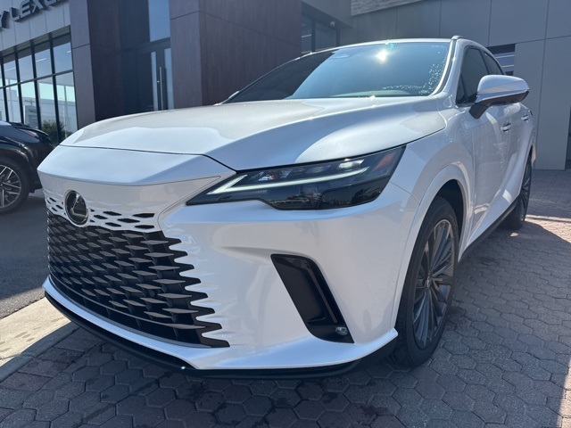 2025 Lexus RX 350 Premium AWD photo 17