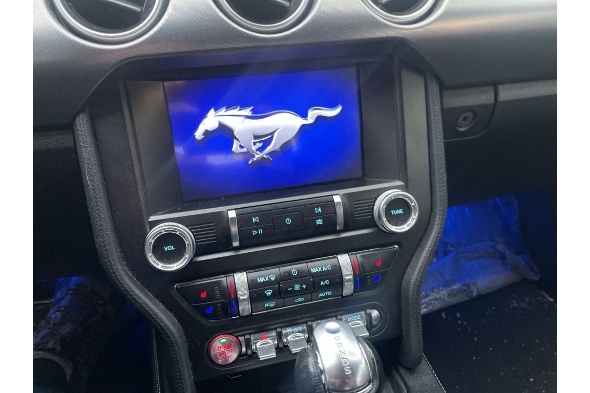 2019 Ford Mustang EcoBoost Premium photo 4
