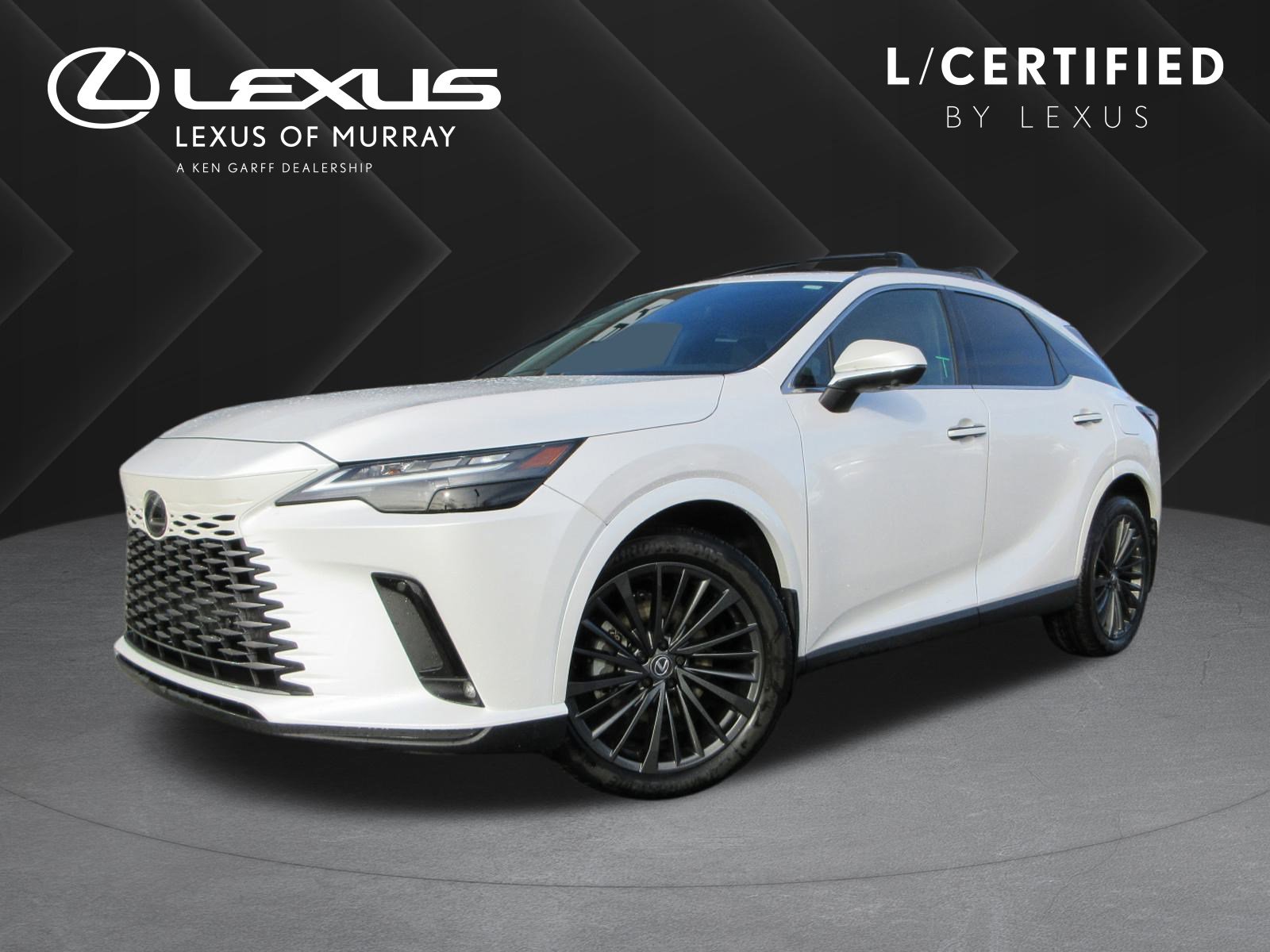 2025 Lexus RX Hybrid 350h's photo