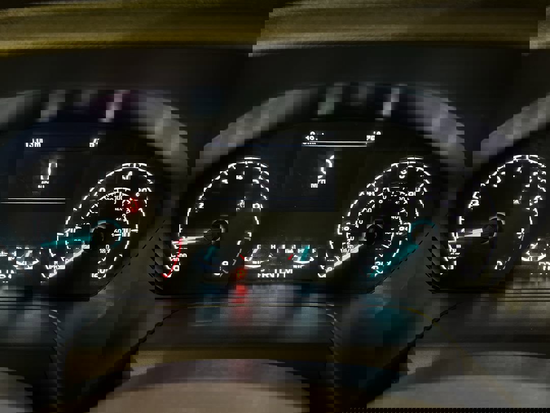 New 2025 OXFORD WHITE Ford XL image 20