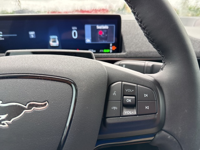 2025 Ford Mustang Mach-E Premium photo 32