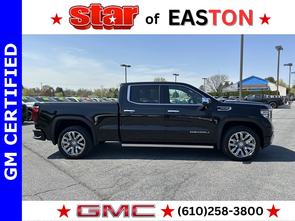 2025 Gmc Sierra 1500 Denali photo 3