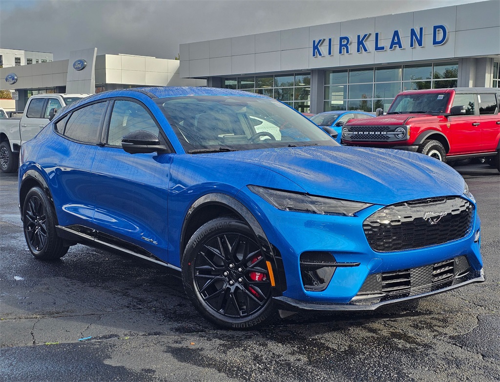 2025 Ford Mustang Mach-E Premium AWD's photo