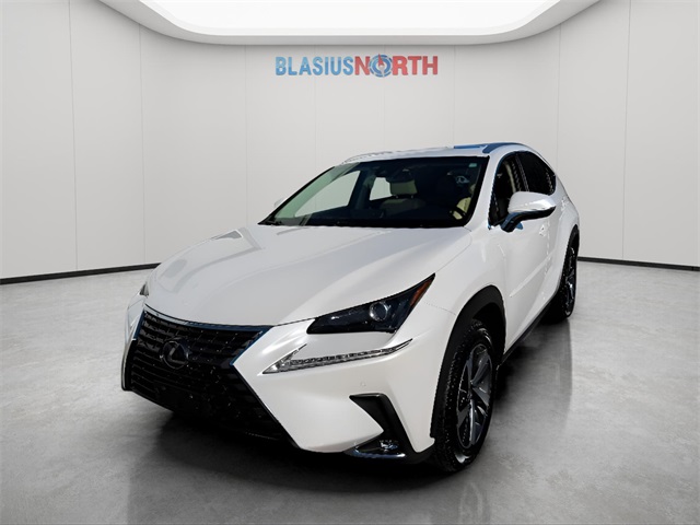 2018 Lexus NX 300's photo