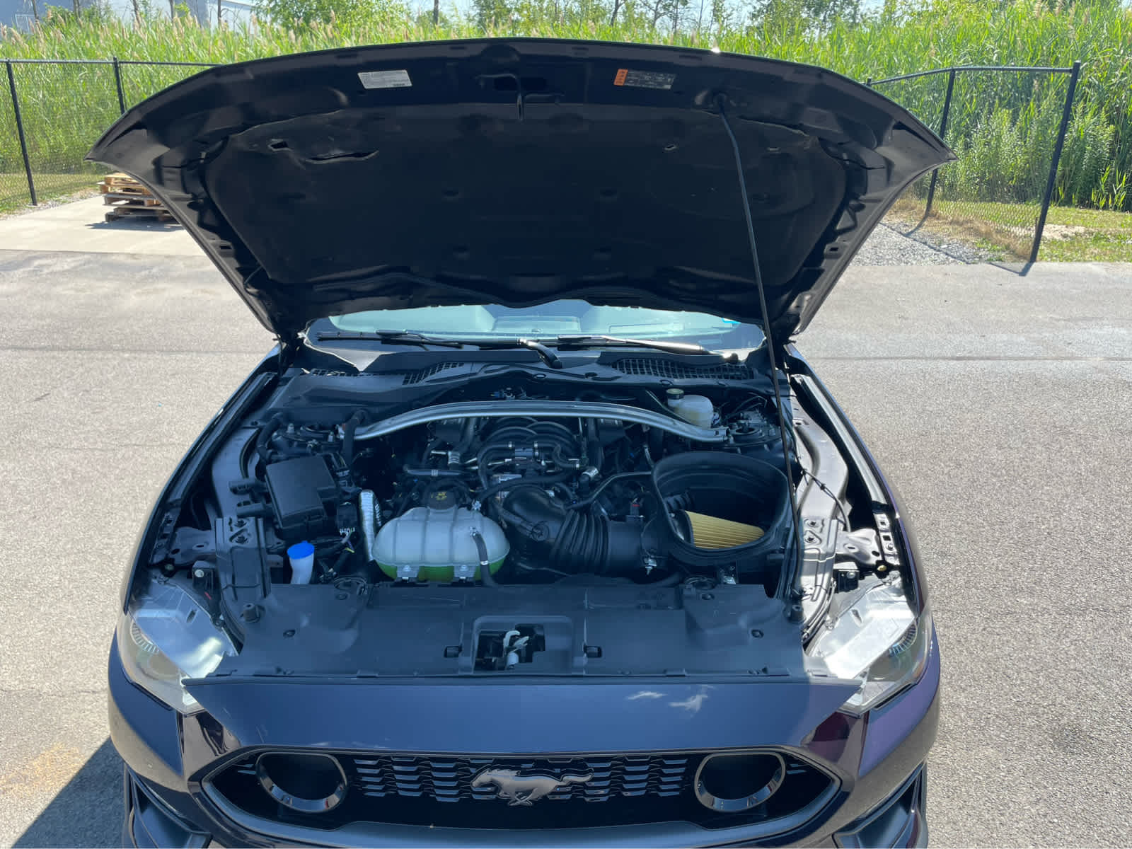 2022 Ford Mustang Mach 1 photo 25