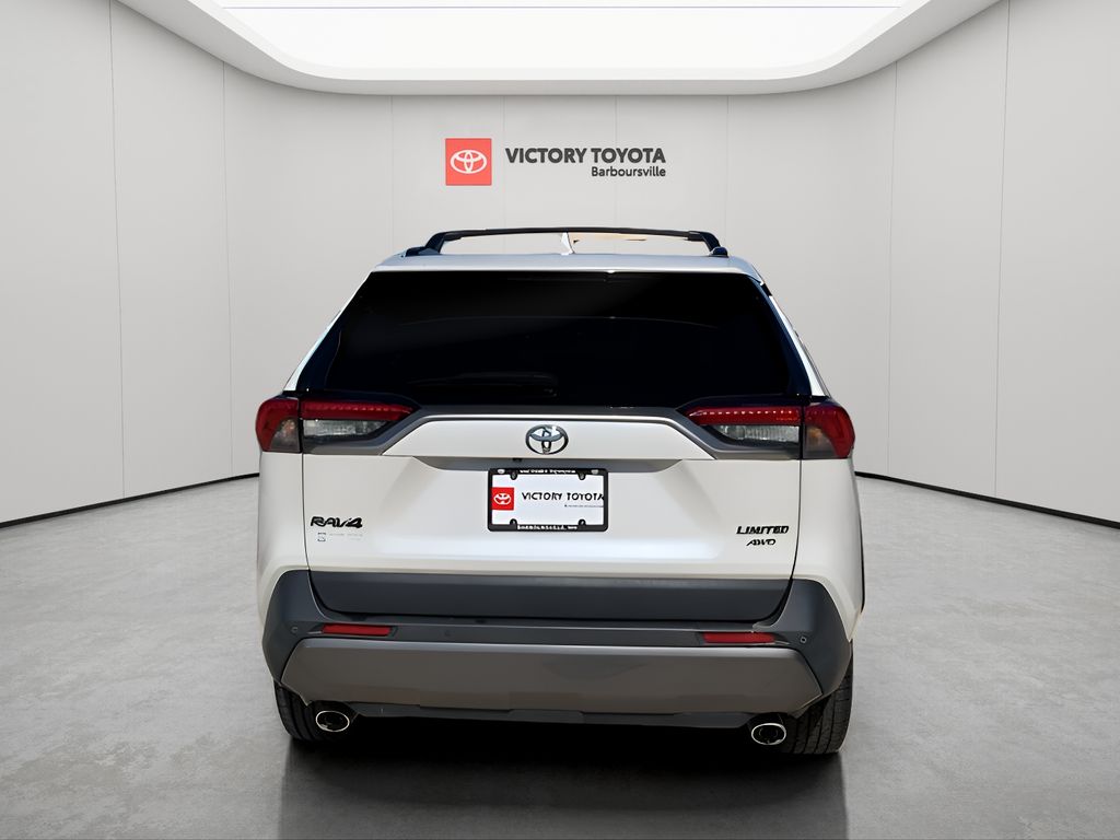 2019 Toyota RAV4 Limited photo 4