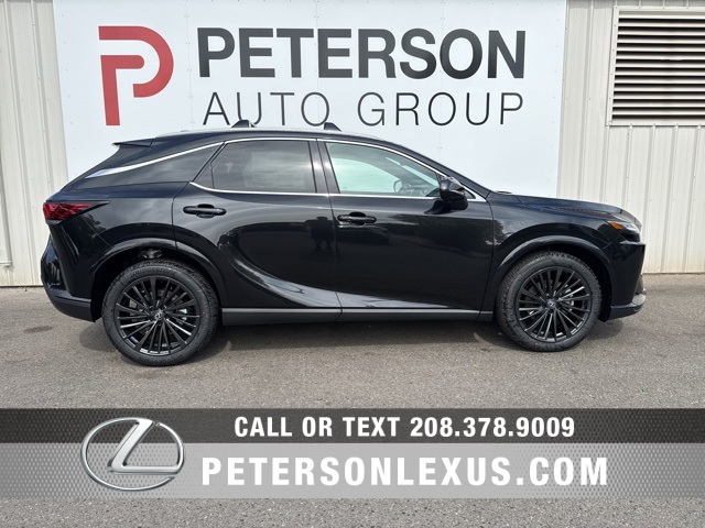 2025 Lexus RX 350 Premium photo 2