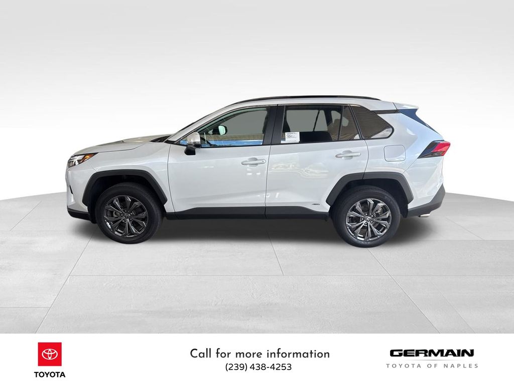 Used 2024 Toyota RAV4 XLE Premium with VIN 4T3B6RFV2RU163286 for sale in Kansas City