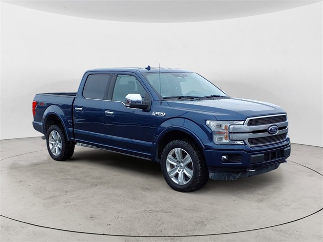 2019 Ford F-150 Platinum photo 7