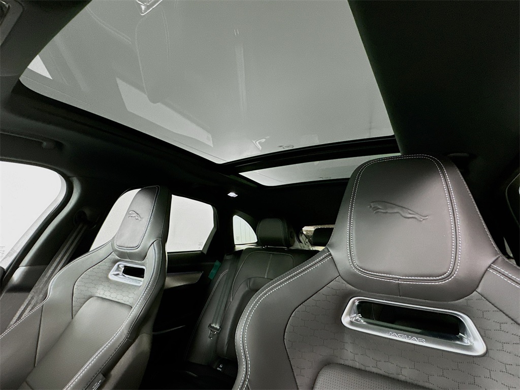 New 2025 Black Jaguar P250 image 22