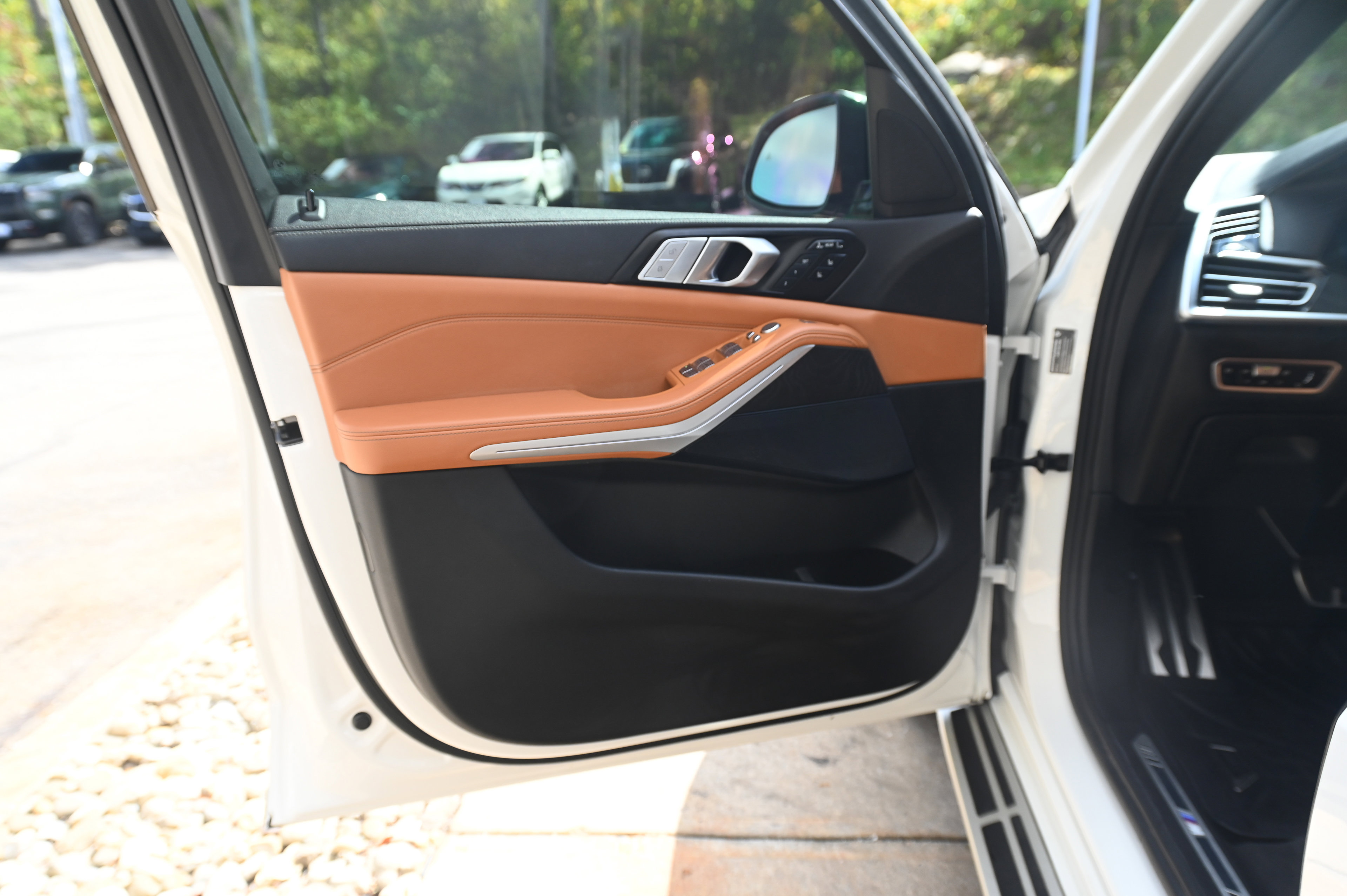 2022 Bmw X7 xDrive40i photo 10