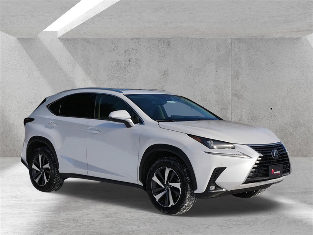 2020 Lexus NX Hybrid 300h's photo