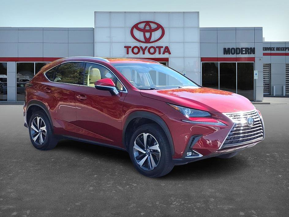 2019 Lexus NX 300 Luxury photo 3